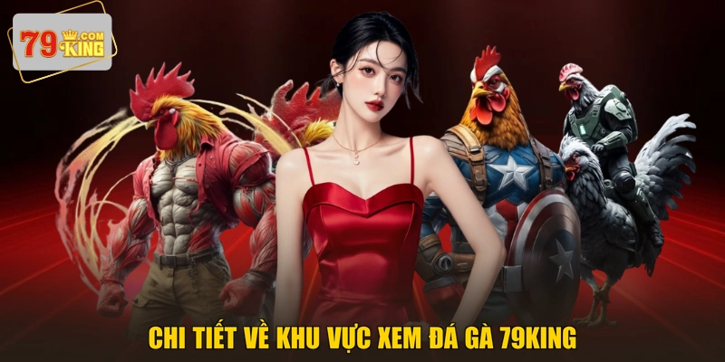 Chi tiết về khu vực xem đá gà 79KING
